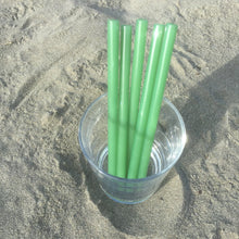 Load image into Gallery viewer, Set of Five Straws by Surfside Sips